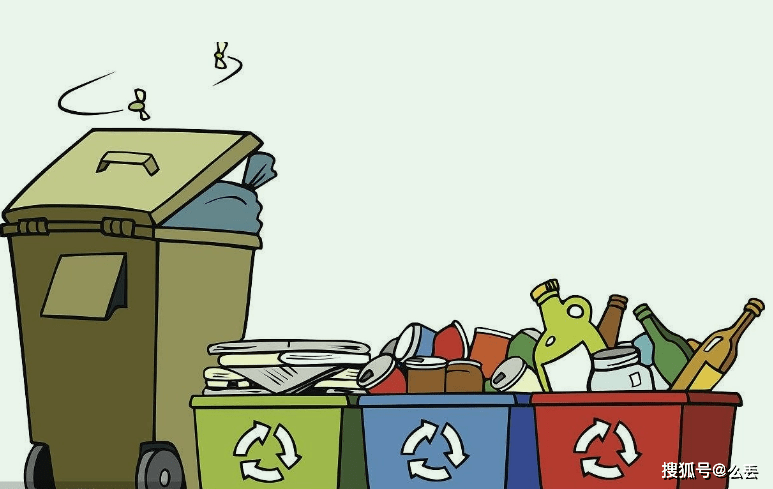 半岛·综合体育官方网站：变废为宝！40000公斤废品造就世界级赛事最小“回收者”仅13岁(图1)